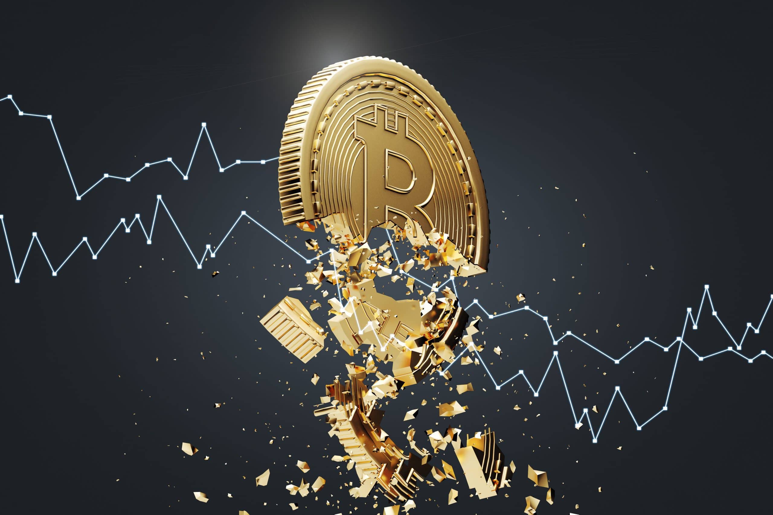 www.btc-echo.de
