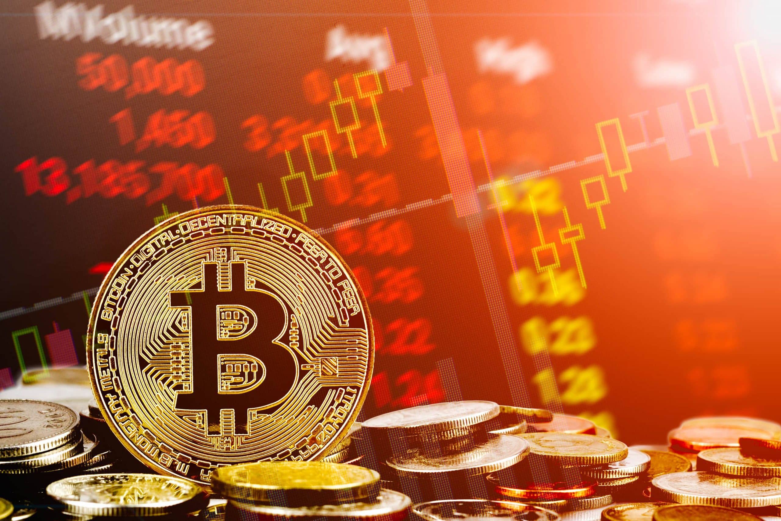 www.btc-echo.de