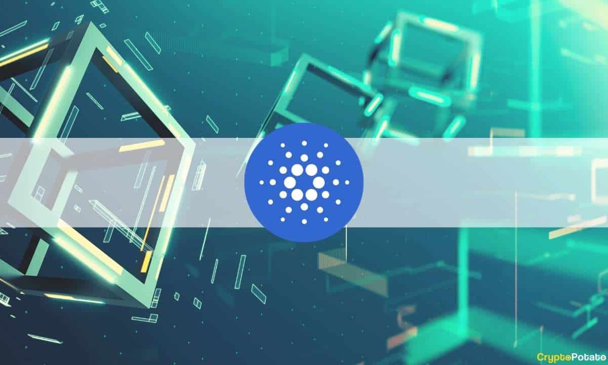 cryptopotato.com