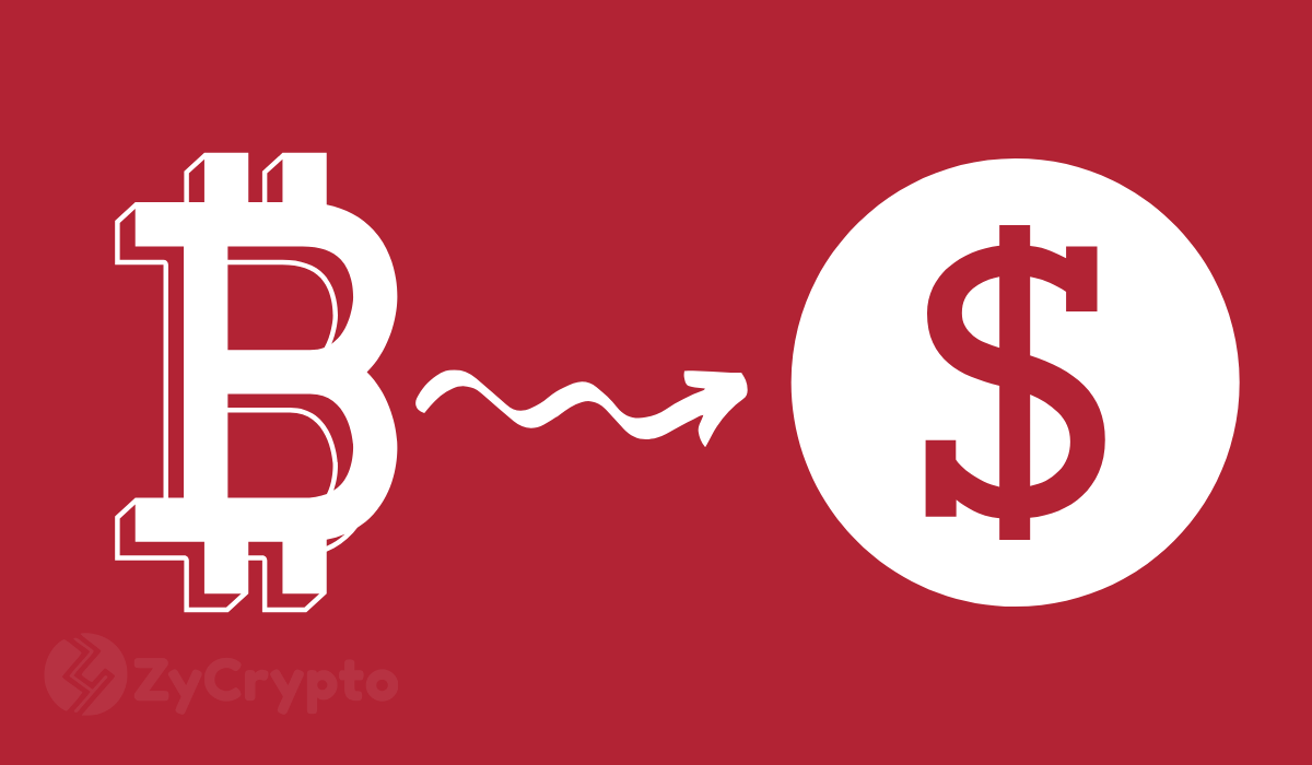 zycrypto.com