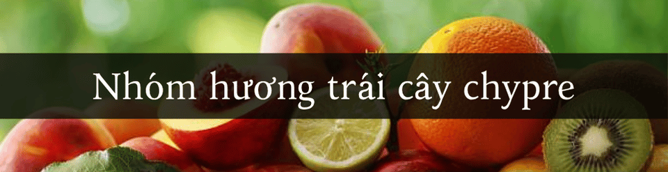 nhom-huong-trai-cay-chypre.png