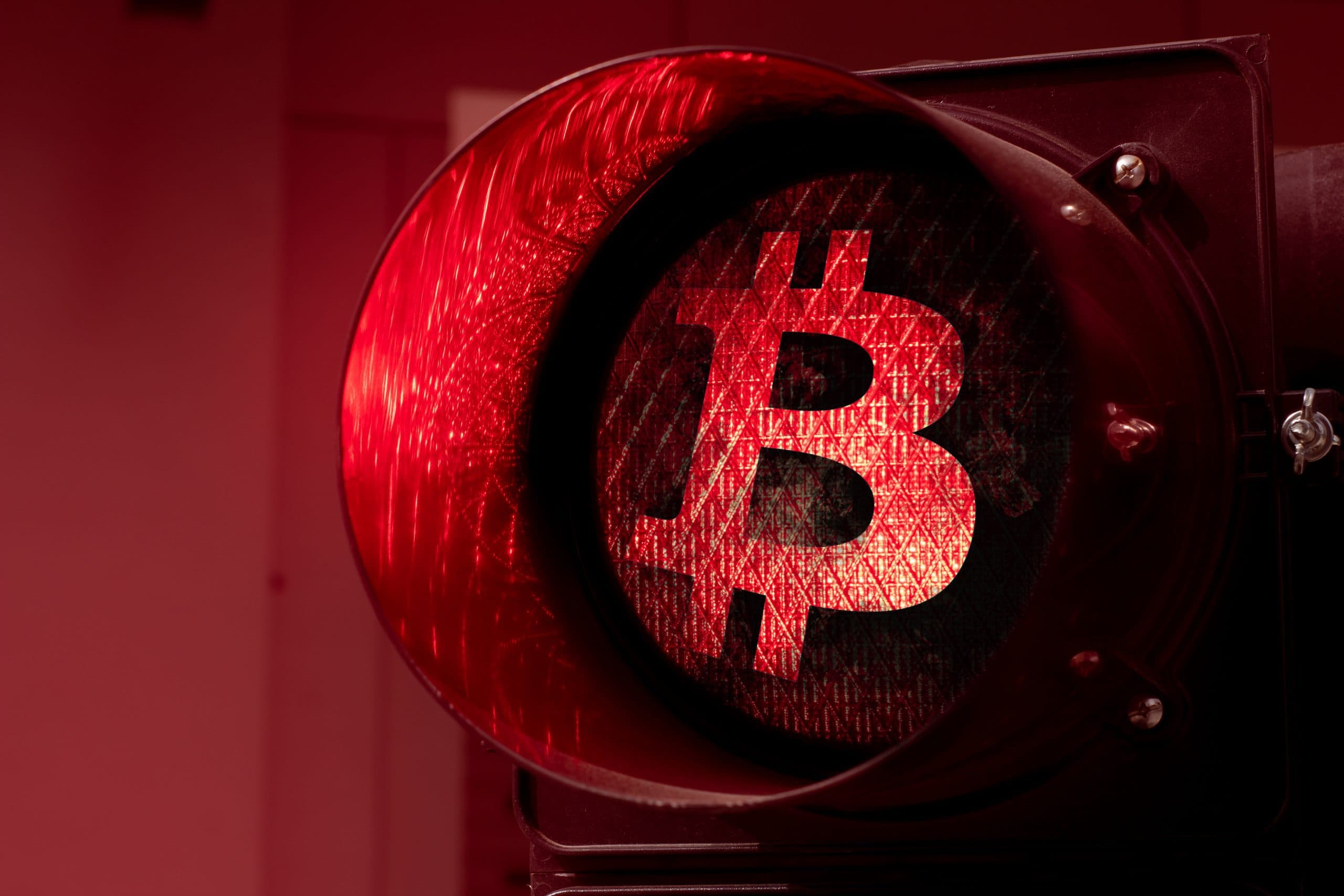 www.btc-echo.de