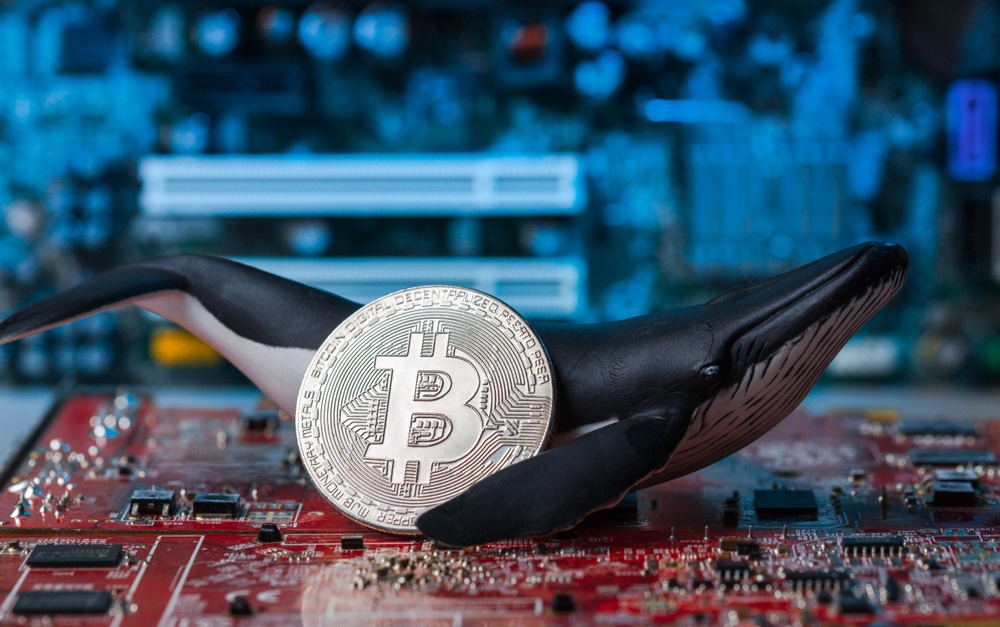 www.ccn.com