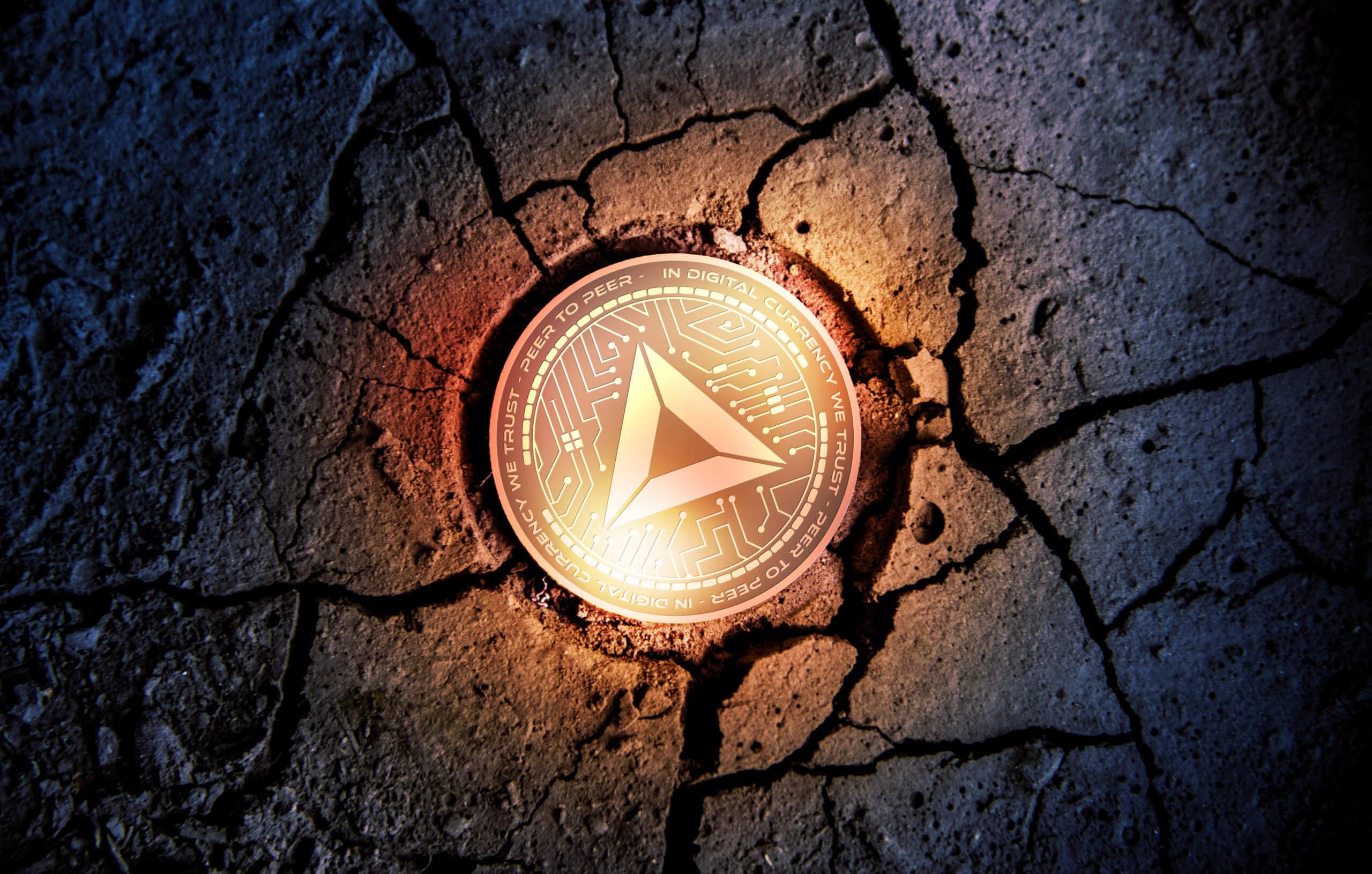 www.btc-echo.de