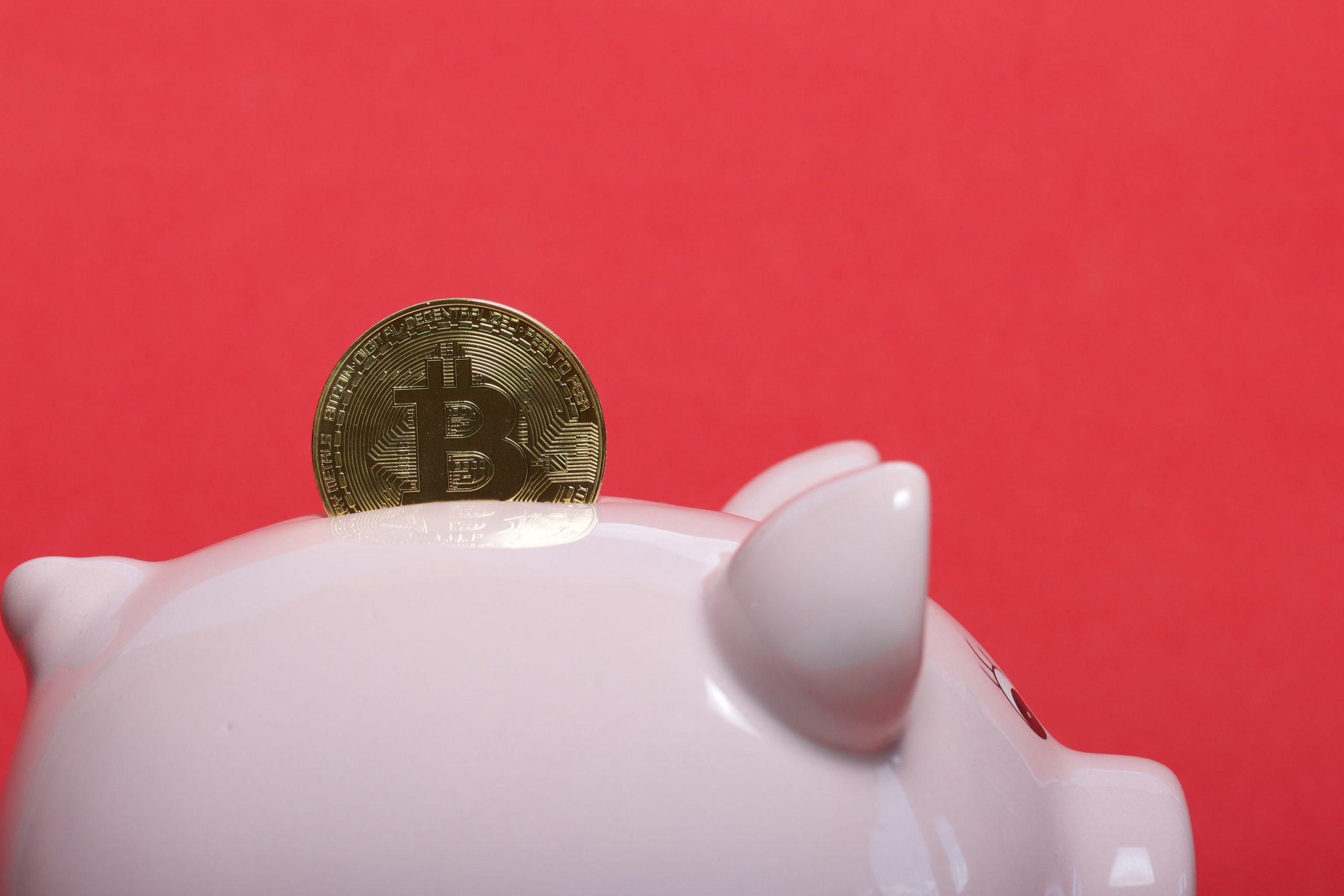 www.btc-echo.de