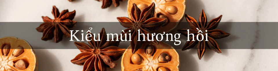 kieu-mui-huong-hoi.png