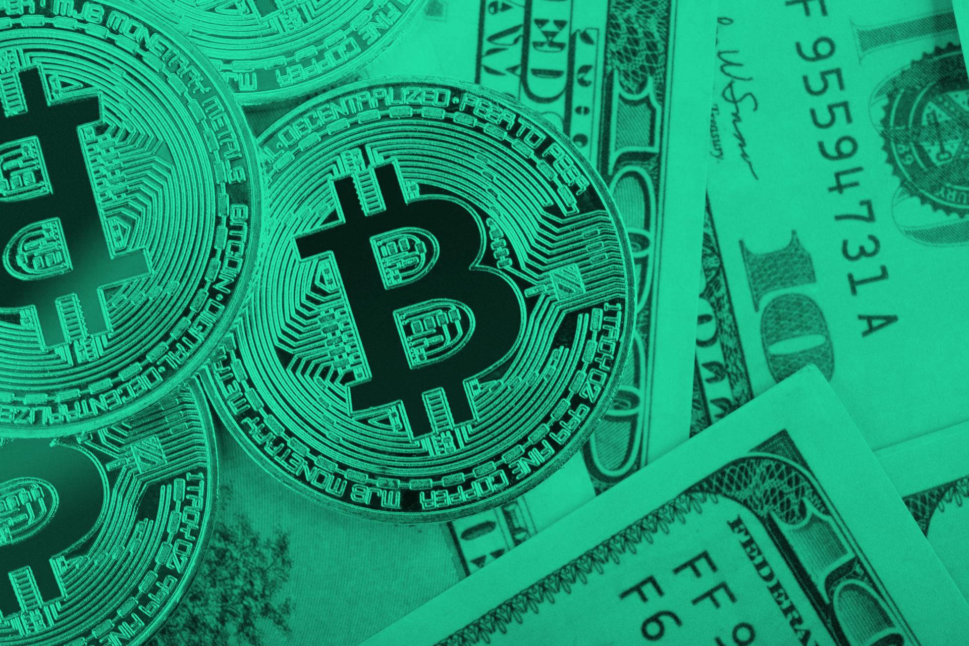 cryptomonday.de